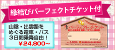 縁結びパーフェクトチケット付