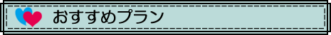 おすすめプラン