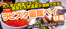 2月値下げ！ラビスタ函館ベイ特集
