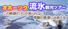【東京発】感動の風景へ流氷観光ツアー