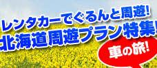 レンタカーでぐるんと周遊プラン特集