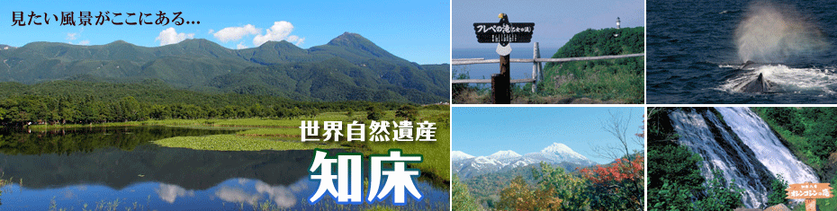 北海道旅行 北海道ツアー
