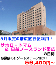 北海道旅行　おすすめ