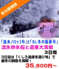 北海道旅行　おすすめ