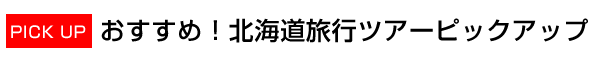 北海道旅行　おすすめ