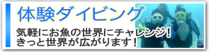 体験ダイビング