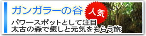 ガンガラーの谷