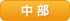 中部