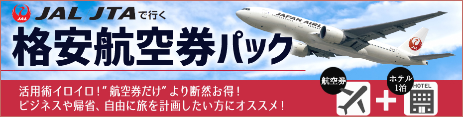 【お得】【出張帰省にも便利！！】格安航空券パック