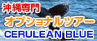 セルリアンブルー　沖縄オプショナルツアー