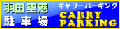 キャリーパーキング