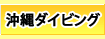 沖縄ダイビングツアー
