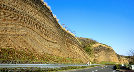 「伊豆大島」の画像検索結果