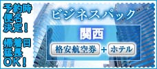 格安ビジネスパック 