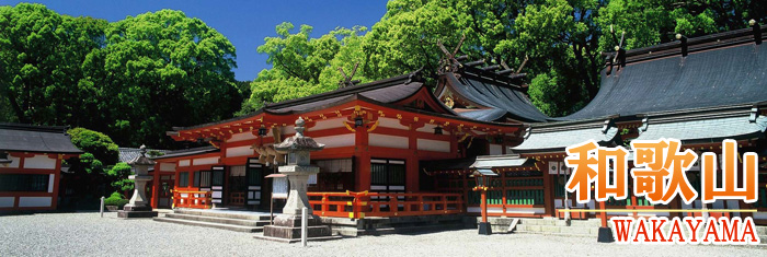 wakayama_top.jpg