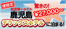 憧れのデラックスホテルが安い！便限定プラン