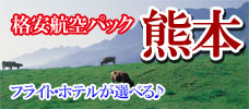 マル得格安航空パック　熊本