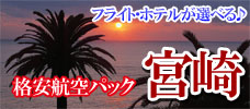 マル得格安航空パック　宮崎