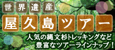 屋久島ツアーに自信があります！