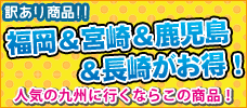 人気の九州行くならこの商品！