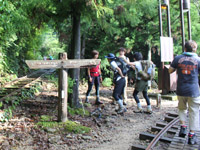 ご奉仕価格・期間限定4-6月!縄文杉トレッキング付!屋久島 素泊まりプラン2泊3日