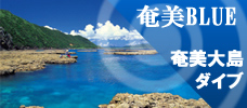 奄美大島でダイビング<br>深い青に会いに行きましょう！