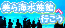 沖縄本島に行くなら外せない！<br>「美ら海水族館」入館券付特集