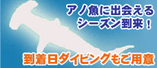 【ダイビング】与那国ダイビング　アリマス