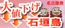 【名古屋発】石垣島の大幅値下げ商品<br>見なきゃ損！