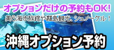 オプシナルツアーだけの予約もOK！<br>沖縄オプション予約特集