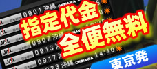 【東京発】全便指定代無料<br>お好きな便で沖縄ツアー