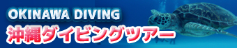 沖縄ダイビングツアー