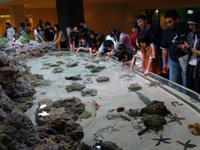 美ら海水族館