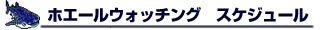 ホエールウォッチング付きツアー