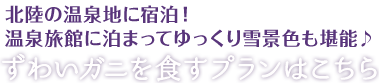 ズワイガニを食すプランはこちら