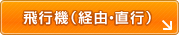 飛行機（経由・直行）