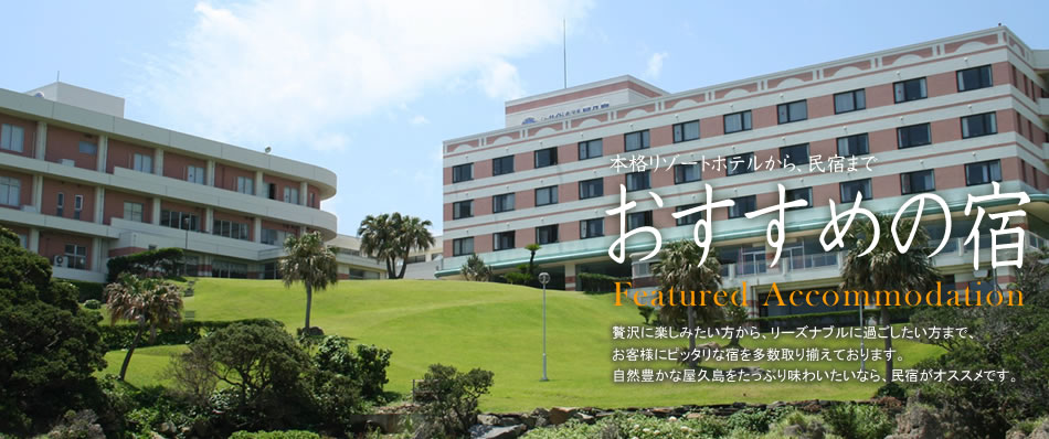 贅沢に楽しみたい方から、リーズナブルに過ごしたい方まで、お客様にぴったりな宿を多数取り揃えております。自然豊かな屋久島をたっぷり味わいたいなら、民宿がおすすめです。
