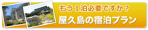屋久島宿泊プランの予約はこちら