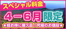 4-6月限定!スペシャル料金!