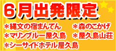 6月出発限定!