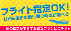 往復のフライト指定ＯＫ！