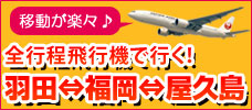 羽田～福岡～屋久島　飛行機で行く屋久島