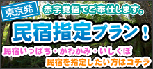 東京発 民宿指定プラン