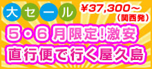 関西発　１月限定！激安！らくらく直行便で行く屋久島