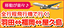 羽田~福岡~屋久島 飛行機で行く屋久島