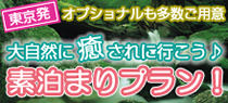 食事なしの格安素泊まりプラン!