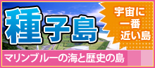 格安 種子島ツアー