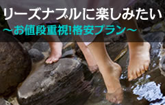 リーズナブルに楽しみたい　～お値段重視！格安プラン～