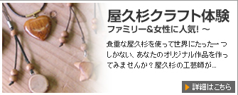 屋久杉クラフト体験