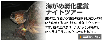 リバーカヤック
